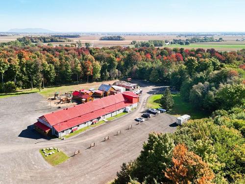 Aerial photo - 864 Rg Chartier, Mont-Saint-Grégoire, QC - Outdoor With View