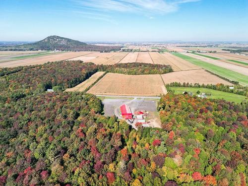 Aerial photo - 864 Rg Chartier, Mont-Saint-Grégoire, QC - Outdoor With View