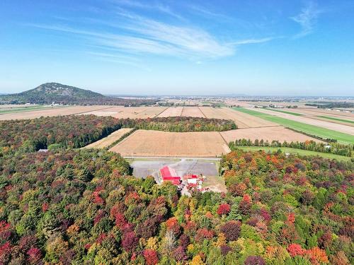 Aerial photo - 864 Rg Chartier, Mont-Saint-Grégoire, QC - Outdoor With View