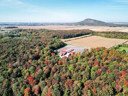 Aerial photo - 864 Rg Chartier, Mont-Saint-Grégoire, QC - Outdoor With View