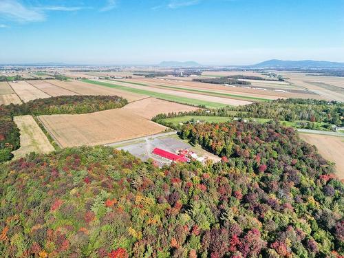 Aerial photo - 864 Rg Chartier, Mont-Saint-Grégoire, QC - Outdoor With View