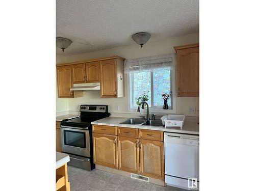 1906 37B Av Nw, Edmonton, AB - Indoor Photo Showing Kitchen With Double Sink