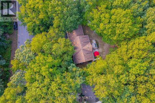 Stunning view of the canopy. - 10248 Pinetree Drive, Lambton Shores (Grand Bend), ON - Outdoor With View