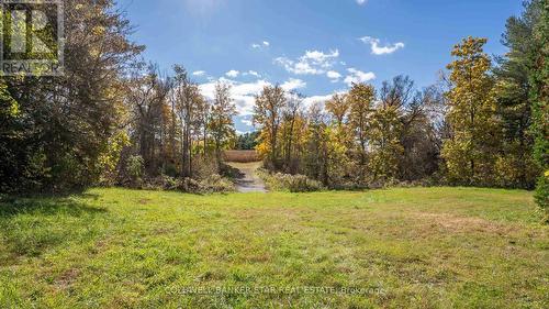 Small stream runs gently before the 3.5 acre field - 3109 Napperton Drive, Adelaide Metcalfe, ON - Outdoor With View