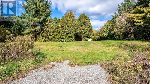 This open area would be ideal for another building - 3109 Napperton Drive, Adelaide Metcalfe, ON - Outdoor