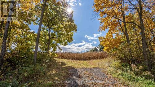 Wow!  Nothing to see but clouds. - 3109 Napperton Drive, Adelaide Metcalfe, ON - Outdoor With View