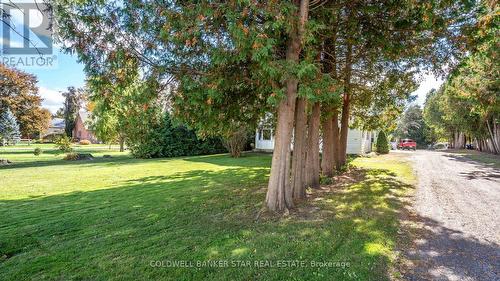 Peaceful property set back from Napperton Drive. - 3109 Napperton Drive, Adelaide Metcalfe, ON - Outdoor