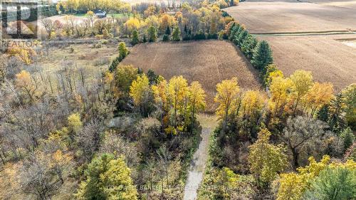 Approx 3 acres currently has a field of corn on it - 3109 Napperton Drive, Adelaide Metcalfe, ON - Outdoor With View