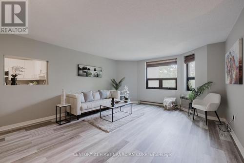 206 - 549 Ridout Street, London, ON - Indoor Photo Showing Living Room