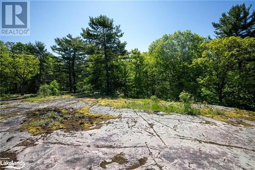 2517 Honey Harbour Road, Georgian Bay (Baxter), ON - Outdoor With View