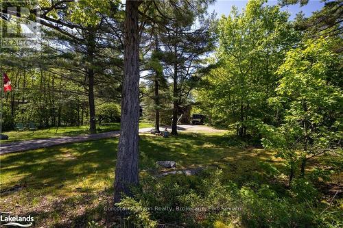 2517 Honey Harbour Road, Georgian Bay (Baxter), ON - Outdoor