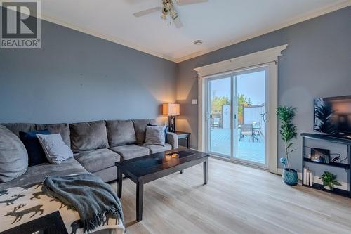 20 Meadow Road, Paradise, NL - Indoor Photo Showing Living Room