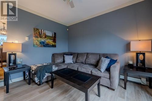 20 Meadow Road, Paradise, NL - Indoor Photo Showing Living Room