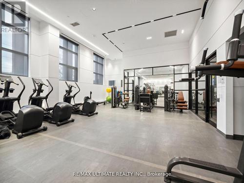 323 - 50 George Butchart Drive, Toronto, ON - Indoor Photo Showing Gym Room