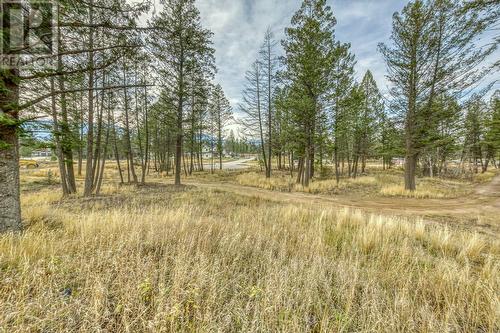 Lot 51 Pedley Heights, Windermere, BC 