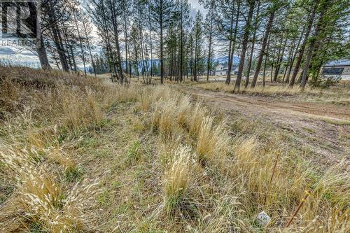 Lot 51 Pedley Heights, Windermere, BC 