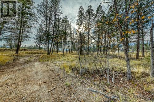 Lot 51 Pedley Heights, Windermere, BC 