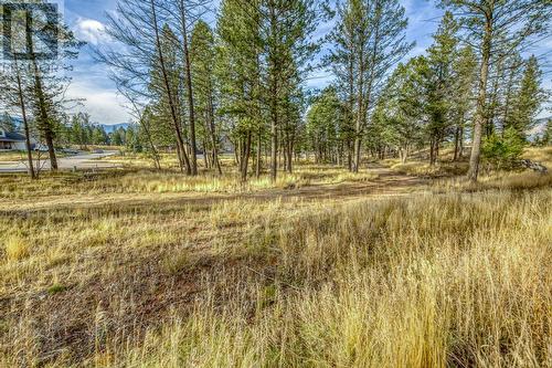 Lot 51 Pedley Heights, Windermere, BC 