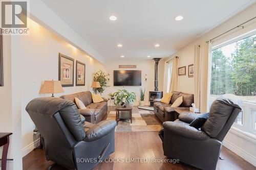 1617 County Rd 504, North Kawartha, ON - Indoor Photo Showing Living Room