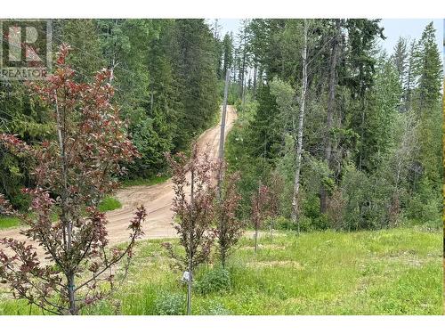 3685 Foster Road, Creston, BC - Outdoor With View