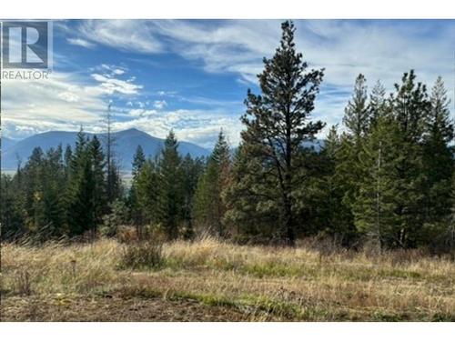 3685 Foster Road, Creston, BC - Outdoor With View