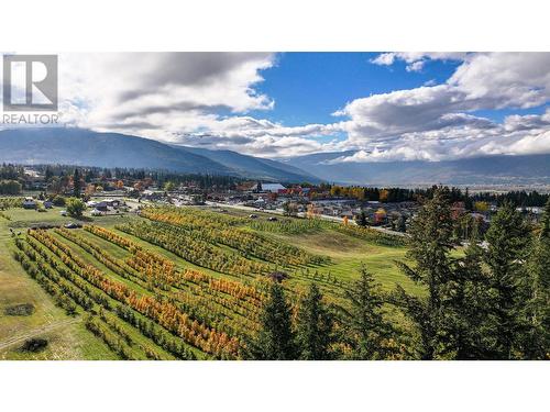 3300 16 Avenue Ne, Salmon Arm, BC - Outdoor With View