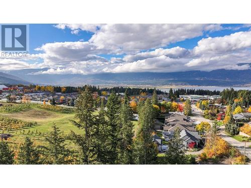 3300 16 Avenue Ne, Salmon Arm, BC - Outdoor With View