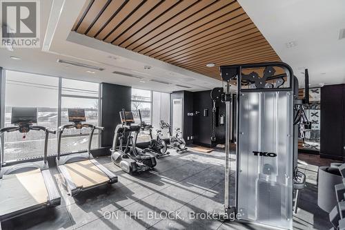 208 - 345 Wheat Boom Drive, Oakville, ON - Indoor Photo Showing Gym Room