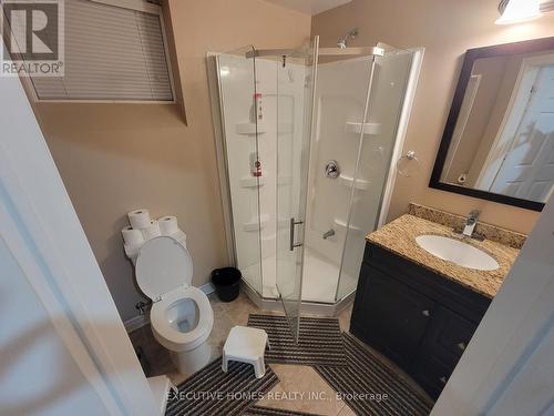 78 Assisi Street, Hamilton, ON - Indoor Photo Showing Bathroom