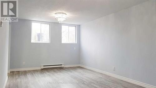 Lower - 359 Buena Vista Avenue, Oshawa, ON - Indoor Photo Showing Other Room