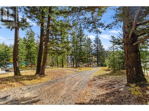 5033 Lauder Road, Merritt, BC - Outdoor With View