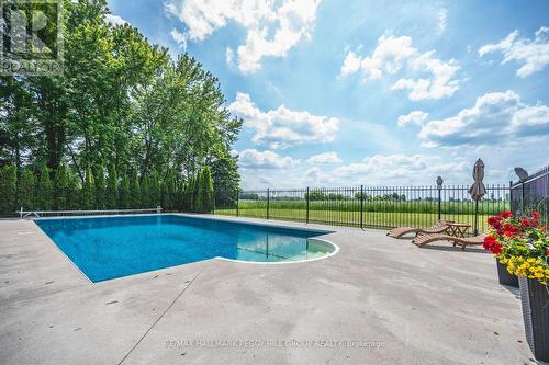 8464 6Th Line, Essa, ON - Outdoor With In Ground Pool