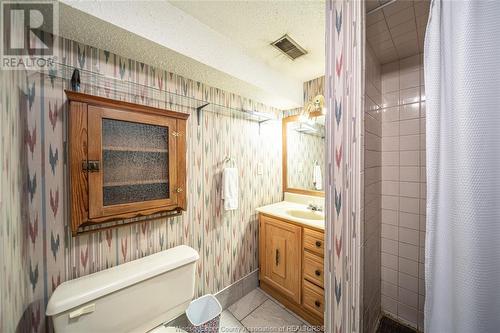 903 Grand Marais Road East, Windsor, ON - Indoor Photo Showing Bathroom