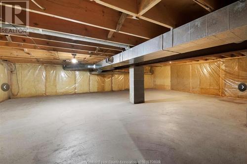 3620 Dandurand, Windsor, ON - Indoor Photo Showing Basement