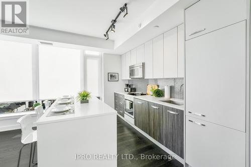 609 - 111 Champagne Avenue S, Ottawa, ON - Indoor Photo Showing Kitchen With Upgraded Kitchen