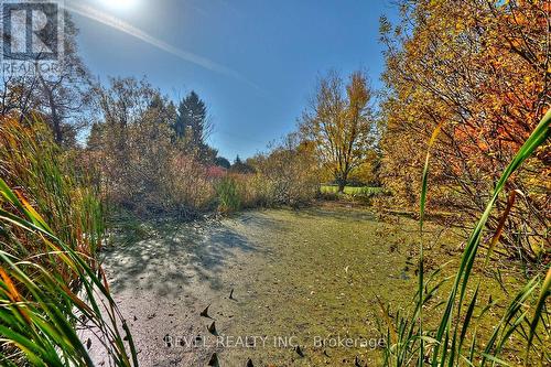 1910 Balfour Street, Pelham, ON - Outdoor With View