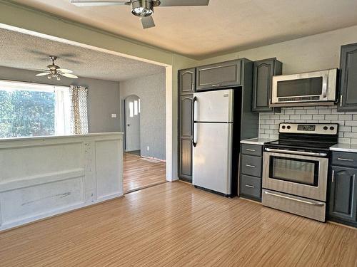 165 Mckirdy Ave, Nipigon, ON - Indoor Photo Showing Kitchen