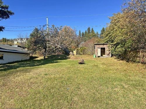 165 Mckirdy Ave, Nipigon, ON - Outdoor