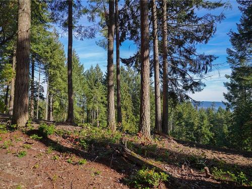 Lot 19 Suneagle Dr, Salt Spring, BC 