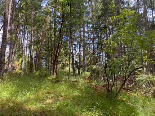 Lot 19 Suneagle Dr, Salt Spring, BC 