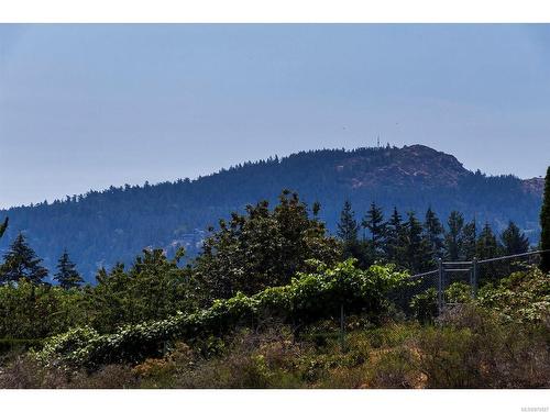 509-5332 Sayward Hill Cres, Saanich, BC - Outdoor With View