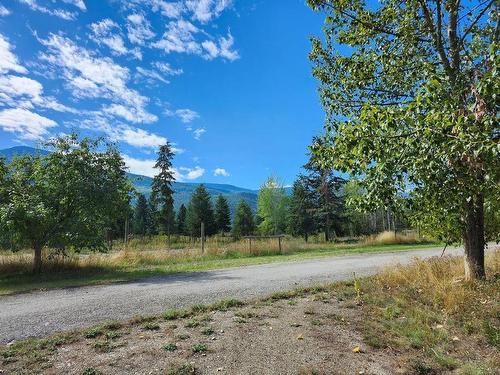 3056 Harmon Road, Clearwater, BC - Outdoor With View