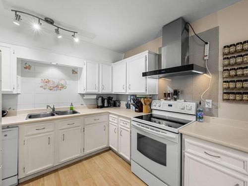 38-2568 Sandpiper Drive, Kamloops, BC - Indoor Photo Showing Kitchen With Double Sink