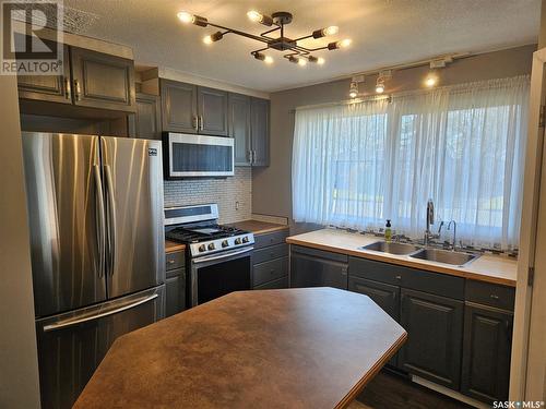 13 Mountain Drive, Carlyle, SK - Indoor Photo Showing Kitchen With Double Sink