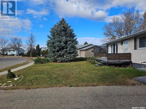 13 Mountain Drive, Carlyle, SK - Outdoor