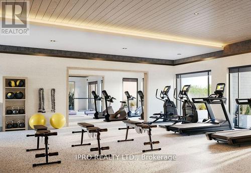 213 - 480 Gordon Krantz Avenue, Milton, ON - Indoor Photo Showing Gym Room