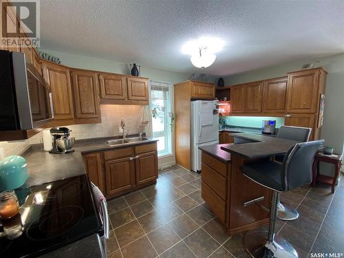 219 Jubilee Crescent, Landis, SK - Indoor Photo Showing Kitchen With Double Sink