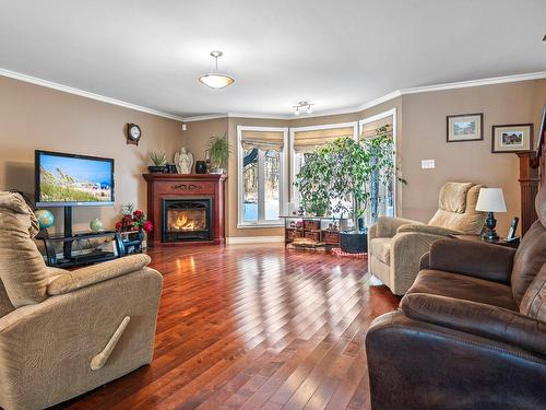 Salon - 191 Ch. Martin, Farnham, QC - Indoor Photo Showing Living Room With Fireplace