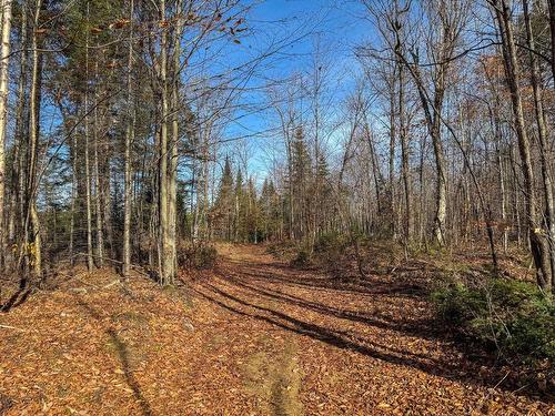 Terre/Terrain - Ch. De La Héronnière, Grenville-Sur-La-Rouge, QC 