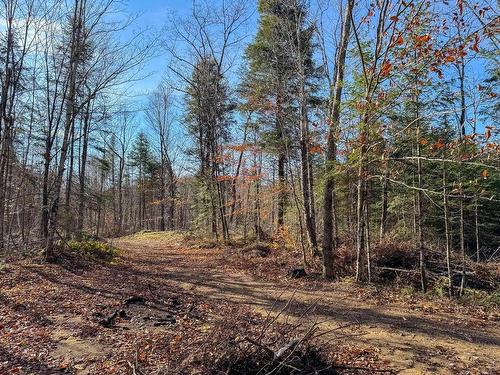 Terre/Terrain - Ch. De La Héronnière, Grenville-Sur-La-Rouge, QC 